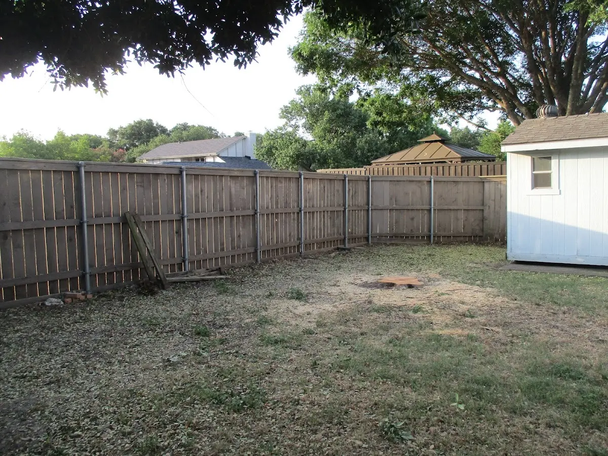 Cleared yard after professional tree removal in Calverton