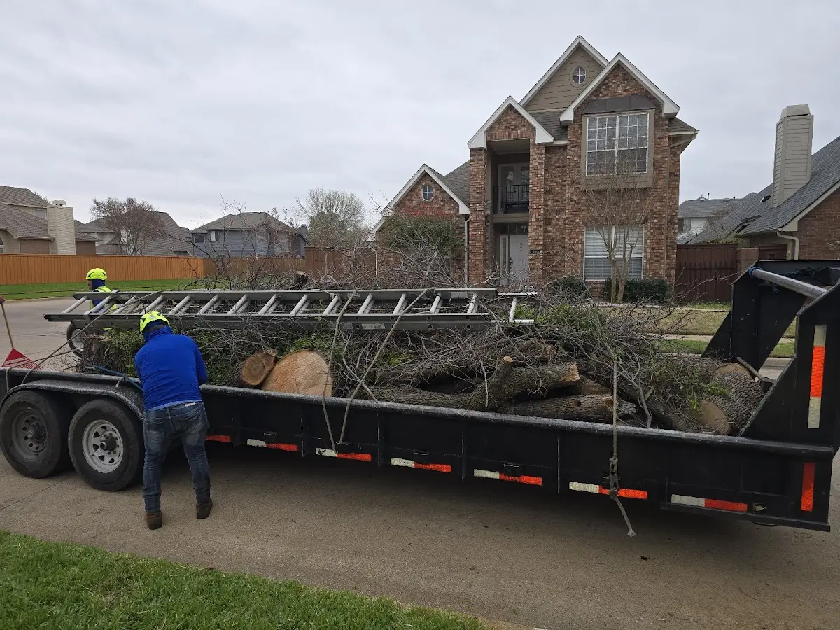 Expert Lot Clearing with proper safety equipment in Calverton